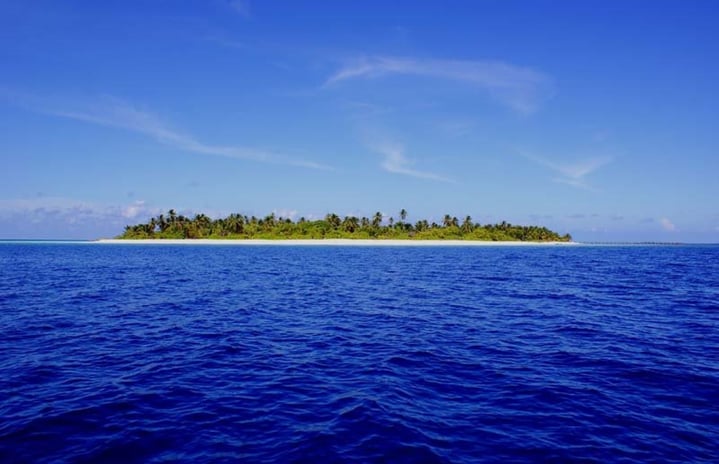 Featured Image