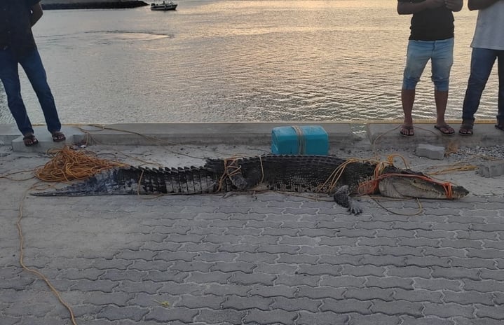 Featured Image