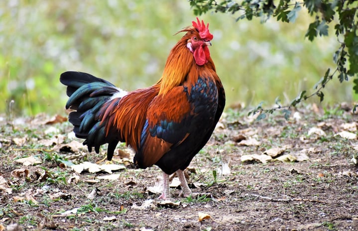 Featured Image